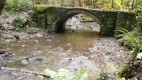 Flowing-Autumnal-woodland-forest-stream-stone-arch-bridge-wilderness-foliage-dolly-right