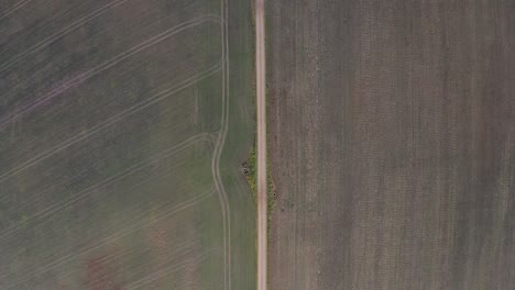 Flying-above-symmetrical-new-farm-fields-and-straight-road