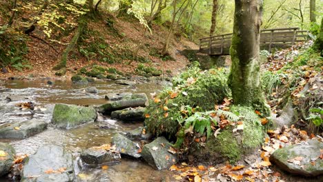 Wooden-bridge-crossing-natural-seasonal-flowing-creek-in-Autumn-forest-woodland-wilderness-dolly-left
