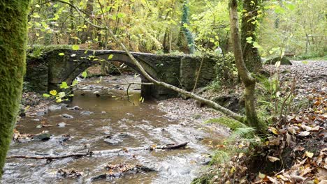 Flowing-Autumn-woodland-forest-mountain-creek-stone-arch-bridge-wilderness-foliage-dolly-left