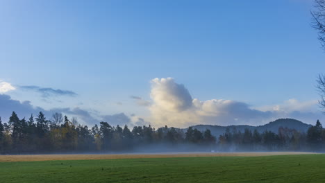 Wolkenzeitraffer-Im-Blauen-Himmel-über-Malerischer-Graswiese-Mit-Waldhintergrund