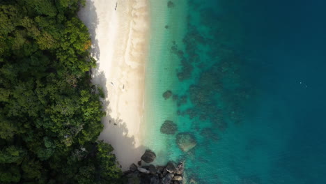 Downward-angle-drone-shot-of-people-on-Nudey-Beach-on-Fitzroy-Island-in-Queensland,-Australia