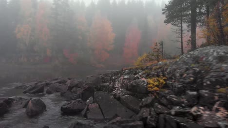 Rocky-River-Bank-of-Vindel-River-in-foggy-alpine-forest-in-the-middle-of-Autumn,-in-Mårdseleforsen,-Sweden---Low-angle-tracking-aerial-shot