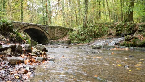 Flowing-Autumn-woodland-forest-stream-under-stone-arch-bridge-wilderness-foliage