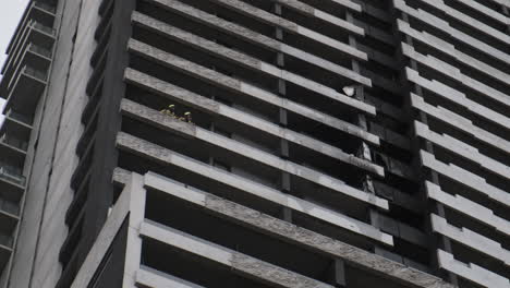 MFB-Firefighters-survey-damage-from-apartment-building-fire-flammable-cladding
