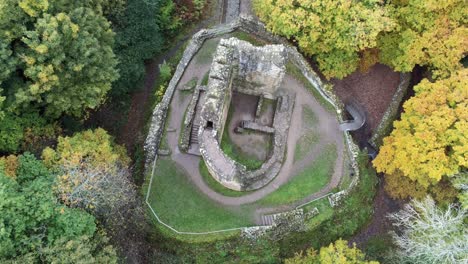 Aerial-view-above-Ewloe-castle-abandoned-ruins-hidden-in-Autumn-woodland-birdseye-rotating-right