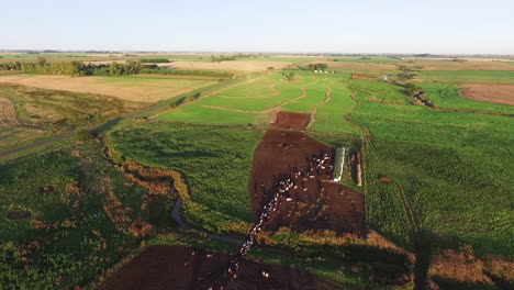 Luftaufnahme-Der-Landschaftslandschaft-Und-Der-Viehwirtschaftsfelder-In-Argentinien
