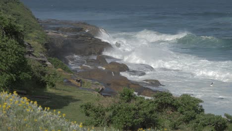 Bronte-Beach---Ocean-Waves-Crashing-On-Rocky-Coast-In-Summer---Sydney,-New-South-Wales,-Australia
