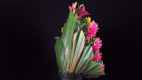 Hawaiianisches-Tropisches-Sommerblumenarrangement,-Das-Sich-Auf-Schwarzem-Hintergrund-Dreht