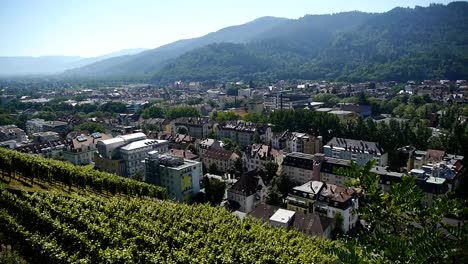 View-of-Freiburg-from-the-Schlossberg,-vineyards-in-the-foreground,-sunny-day