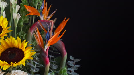 Paradies-Blume-Sonnenblume-Lilie-Weiße-Rosen-Detailaufnahme-Schwenkschieber
