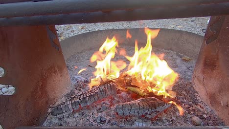 Throwing-dried-leaves-on-coals-to-create-flames-inside-a-fire-ring-at-campground