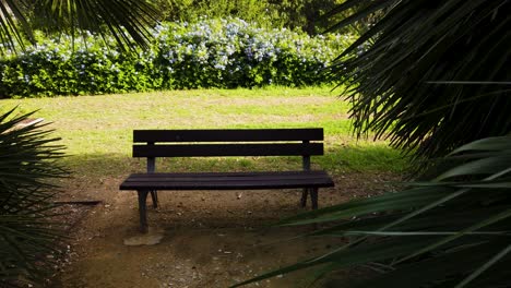 Reveal,-Picturesque-Park-Bench-Shaded-by-Lush-Palm-Tree-Leaves-in-Scenic-Garden
