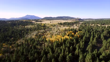 Aerial-drone-slight-tilt-down-from-mountain-scene-and-open-pasture-to-fall-foliage-of-aspen-trees,-Flagstaff,-Arizona
