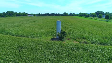 Aerial-View-of-an-Old-Water-Tower-in-the-Middle-of-a-Green-Corn-Field