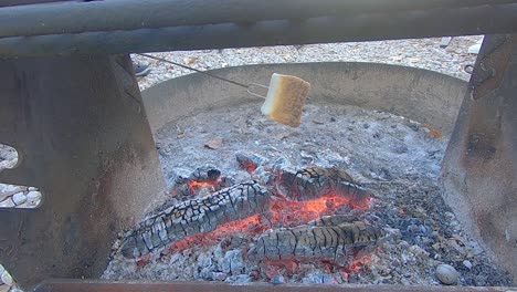 Finish-roasting-large-lightly-toasted-marshmallow-over-campfire-coals