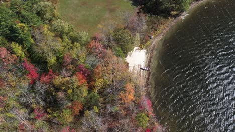 Birdseye-Aerial-View-of-Boat-on-Small-Lake-Beach-by-Forest-in-Autumn-Leaf-Colors-High-Angle-Drone-Shot