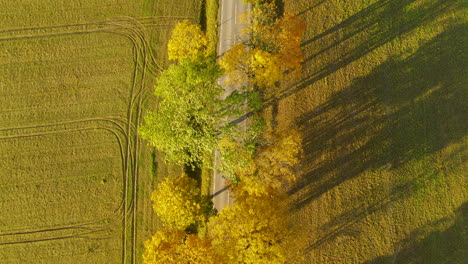 Vista-De-Coloridos-árboles-De-Otoño-Junto-A-La-Carretera-En-Campos-Rurales-Cerca-Del-Pueblo-De-Napromek-En-Polonia
