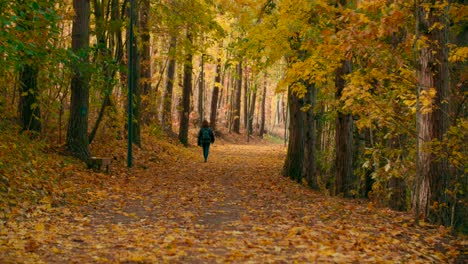 Stock-video-Shot-of-lonely-woman-walking-in-the-autumn-forest-pathway