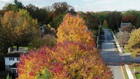 Aerial-above-colorful-fall-foliage