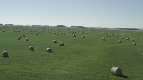 aerial-close-fly-over-circular-hay-bale-rolls-spread-out-almost-symmetrical-from-each-other-on-a-lush-green-rolling-farm-field-seperated-by-small-patches-of-tree-barrier-hills-in-the-summer-1-3