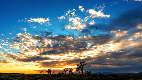 Erstaunlich-Farbenfroher-Sonnenuntergang-In-Der-Mojave-Wüste-Hinter-Den-Joshua-Bäumen---Weitwinkel-Zeitraffer