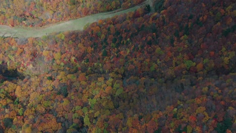 Aerial-View-Of-Autumnal-Trees-In-The-Forest-During-Fall-In-Zao-Onsen,-Yamagata-City,-Japan---top-down-shot