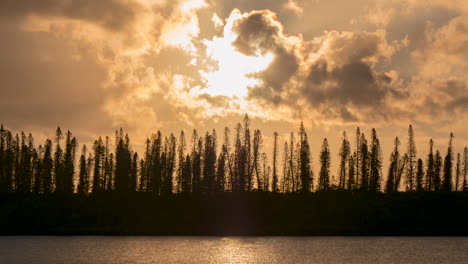 Vibrant-orange-sunset-silhouettes-Columnar-pines-on-Isle-of-Pines