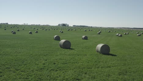 aerial-close-fly-over-circular-hay-bale-rolls-spread-out-almost-symmetrical-from-each-other-on-a-lush-green-rolling-farm-field-seperated-by-small-patches-of-tree-barrier-hills-in-the-summer-2-3