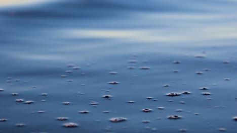 Texture-of-Water-Surface-with-Oxygen-Bubbles