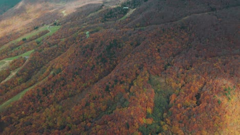 Lebendige-Waldbäume-Im-Berg-Im-Herbst-In-Yamagata,-Japan---Zao-Onsen-Im-Herbst---Luft-Von-Oben-Nach-Unten
