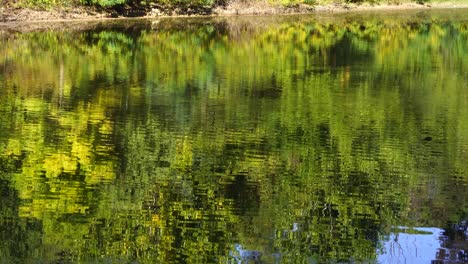 Wassersee,-Der-Einen-Ruhigen-Park-Mit-Bäumen-Und-Wanderern-Im-Herbst-Widerspiegelt