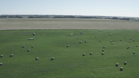 aerial-fly-over-lush-green-pasture-with-circular-hay-bails-arranged-semi-symetrical-over-a-fish-eye-global-horizontal-horizon-with-clear-blue-skys-at-twilight