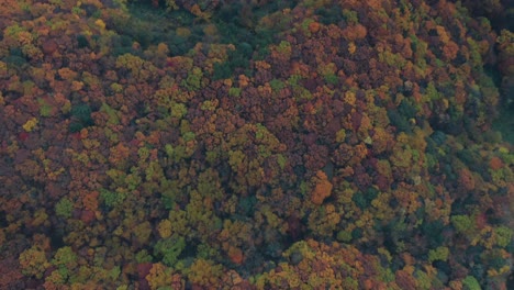 Blick-Von-Oben-Auf-Den-Malerischen-Berg-Voller-Bunter-Herbstbäume-In-Zao-Onsen,-Yamagata,-Japan---Antenne