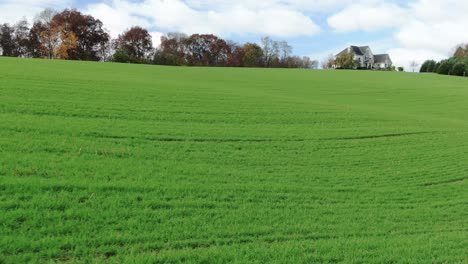 Green-rolling-hills-of-winter-wheat,-rye