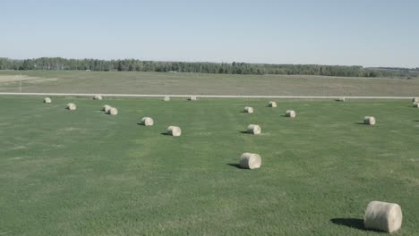 Aerial-quick-fly-over-closeup-circular-hay-bales-scatterred-symetrical-over-a-lush-green-pastures-of-farmland-on-clear-sumemr-day-with-blue-skies-seperated-by-roads-as-boundaries-to-other-farms-5-5