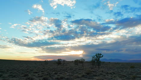 Tiefflug-über-Die-Mojave-Wüste-Und-Joshua-Bäume-Bei-Sonnenuntergang