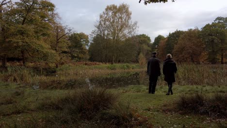 Unrecognisable-couple-looking-over-a-nature-pond-in-Autumn