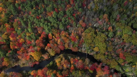 Top-Down-Aerial-View-of-Red-Green-and-Yellow-Autumn-Tree-Leaf-Colors-in-a-Forest-With-Clouds-Shadows-and-Small-River,-Drone-Shot