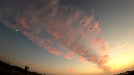 4K-Video-Von-Seevögeln,-Die-In-Formation-über-Einem-Dramatischen-Streifen-Rosa-Wolken-über-Einem-Zwielichthimmel-In-Monterey-Bay,-Kalifornien,-Fliegen