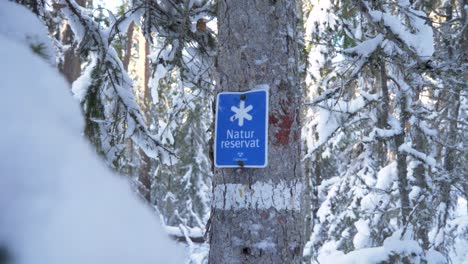 Push-in-wide-shot-of-Swedish-nature-reserve-sign-screwed-to-a-tree-among-thick-snowy-forest