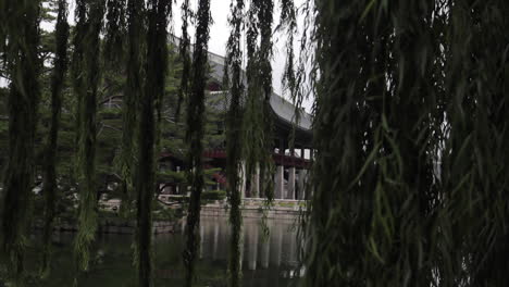 Weidenbaum,-Der-Vor-Dem-Tempel-Im-Gyeongbokgung-Palast-In-Südkorea-Hängt