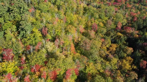 Herbst-In-Der-Landschaft-Von-Neuengland,-New-Hampshire,-USA