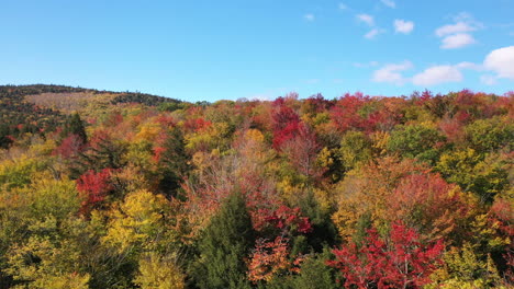 Rot,-Gelb,-Orange,-Grün,-Laubfarbmischung-Im-Landschaftswald-Am-Sonnigen-Herbsttag,-Drohnenluftbild
