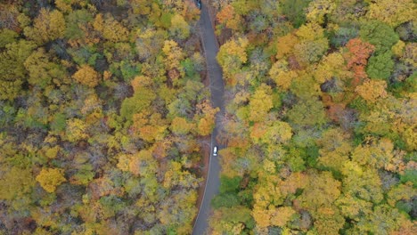 Birdseye-Aerial-View-of-White-SUV-Vehicle-on-Road-in-Rural-Forest-in-Autumn-Leaf-Colors,-High-Angle-Drone-Shot