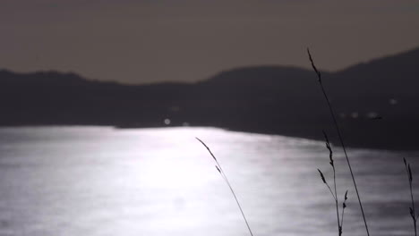 Grasschilf-Gegen-Verschwommenen-Friedlichen-Wassersee-Während-Des-Sonnenuntergangs-In-Südirland-In-Der-Nähe-Von-Dublin