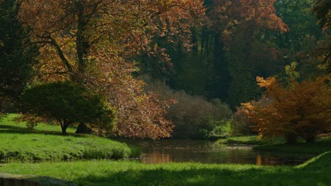 Bäume-Im-Herbst-Spiegelten-Sich-Auf-Dem-See-Bei-Hellem-Licht-Mit-Fokuszug-Wider