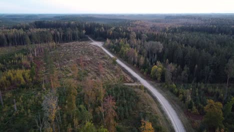 Technical-forest-path-road-for-forestry-recreation-and-logging-aerial-view