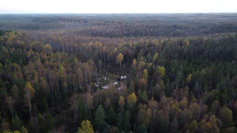 Saisonale-Waldfarben-Im-Frühen-Herbst-Luftbild