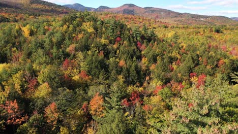 Aerial-View-of-Sunny-Autumn-Day-Above-Vivid-Colorful-Forest,-Mountain-Landscape-in-New-Hampshire,-USA